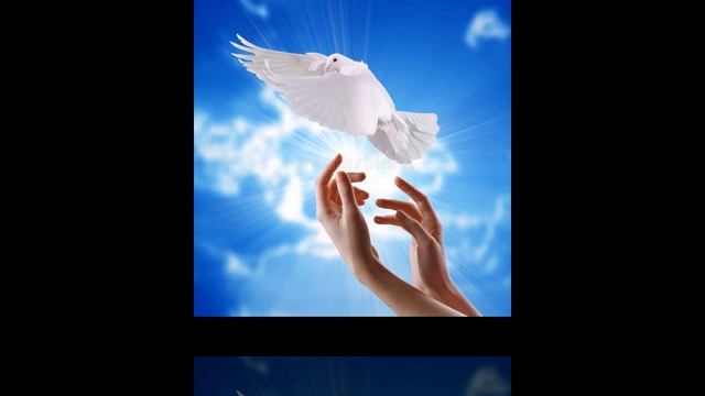 07. Где-то там. Чёрная кошка (Сергей Баландин)