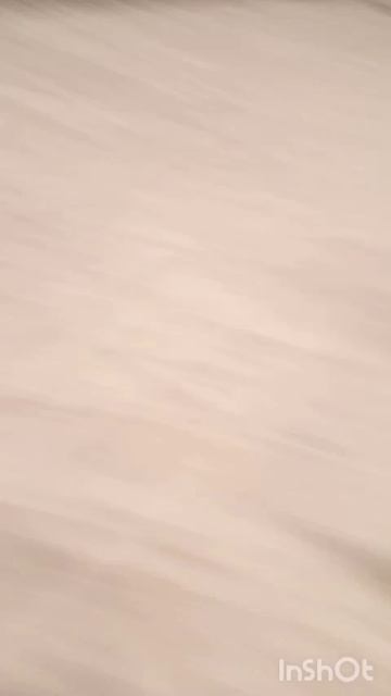 типичный ловик