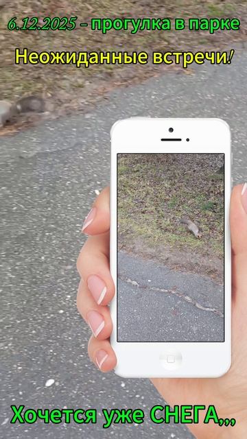 Осенние встречи