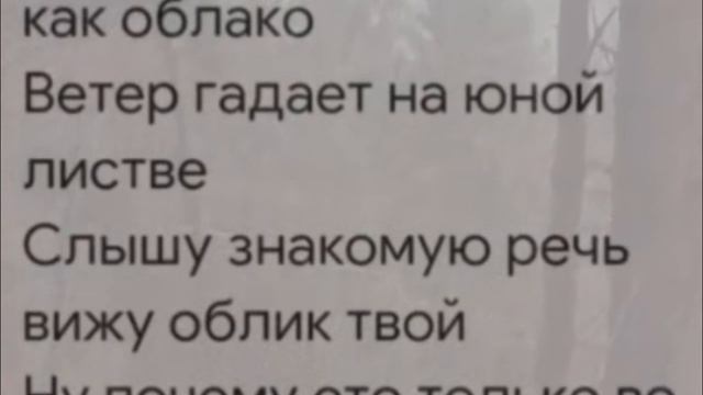 9593af07994c870a4a94f0a6c22b49dd