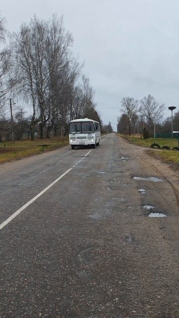 д.Подроща, ул. Лесная