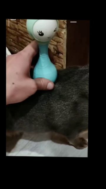 1e27c1674a4943f74b2c06c0b3a6a853