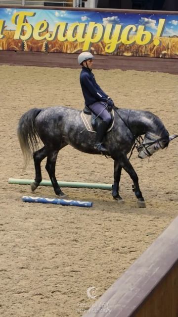 Семинар по конному спорту в Ратомке