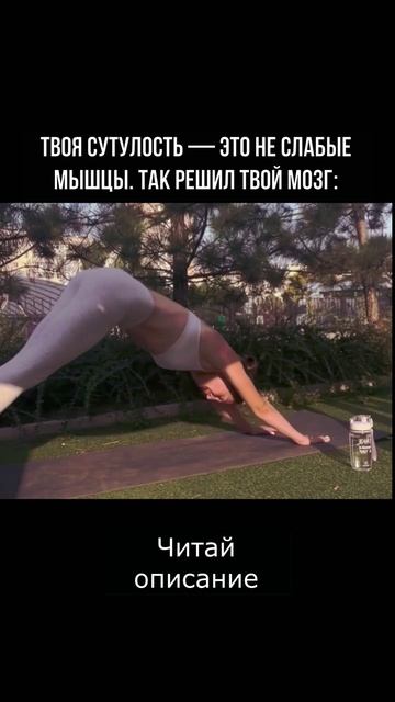 Твоя сутулость — это не слабые мышцы. Так решил твой мозг.