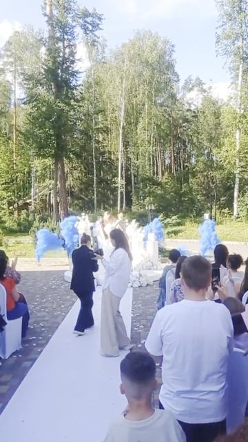 Подборка дымных мин на свадебную регистрацию