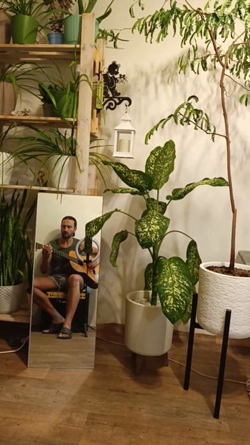 Блюз
#гитара #артист #музыка #топ