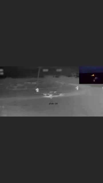 Тигр - хищник!