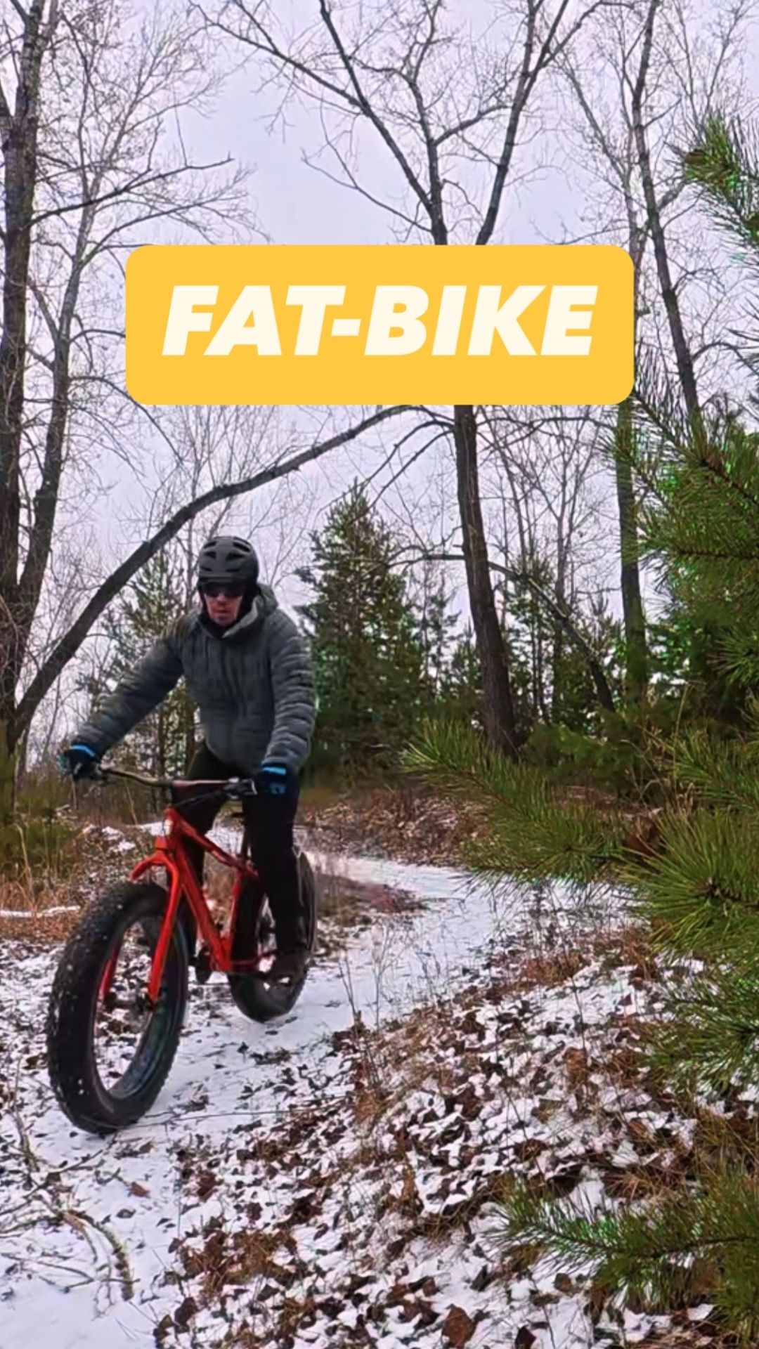 фэт-байк