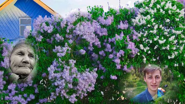 05dbfc440c5574f8be8da888365041fd