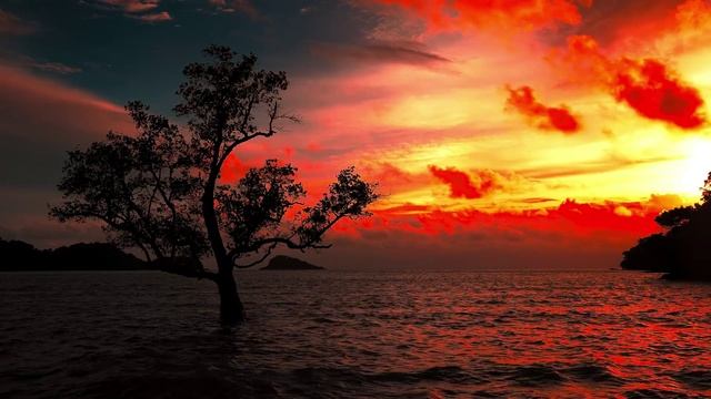 KavAI Ft. Movement - Earth Wizard