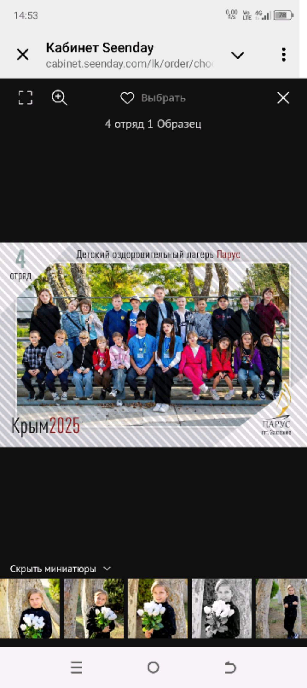 шедов варол 2