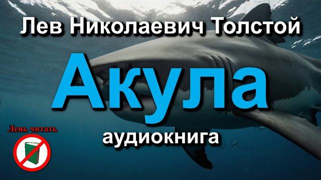 Акула. Лев Николаевич Толстой. Рассказ. Произведение для чтения в 3 классе.
