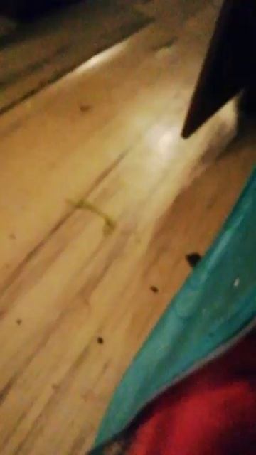 Ульяна и её дом