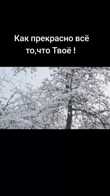 Как прекрасно всё то, что Твоё!