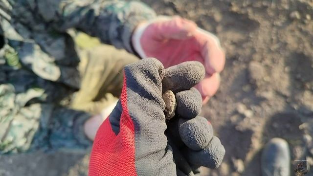 Осторожно, эмоции зашкаливают!! Нашли царские монетки)