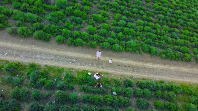 07d720554814b600cd4463054fc6347b