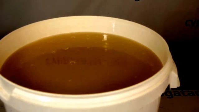 Обзор спиртовых белорусских дрожжей. Делаю сахарная брагу