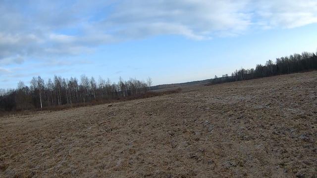 Жить захочешь-не так побежишь!