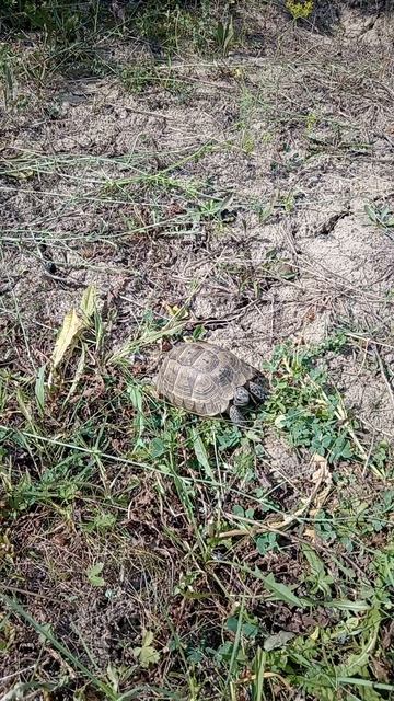 F4cf06a1abf9db048a70cf205b4f7e3f