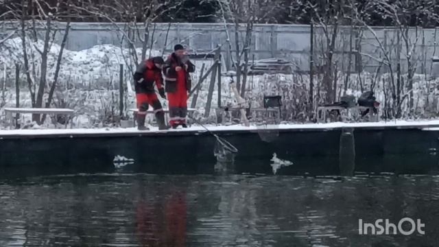 Клюёт ❄️🐟