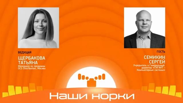 Интервью с Сергеем Семикиным, генеральным директором «ГИГАНТ — компьютерные системы» на «Эхо лосей»