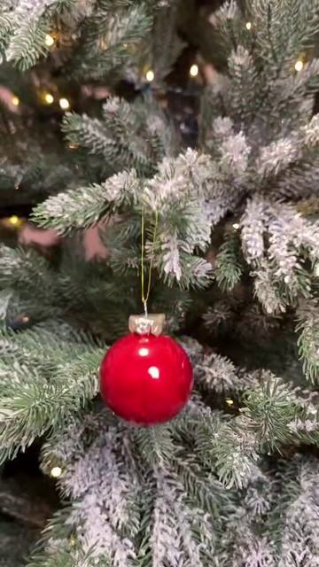 Жестокий пранк над кошкой