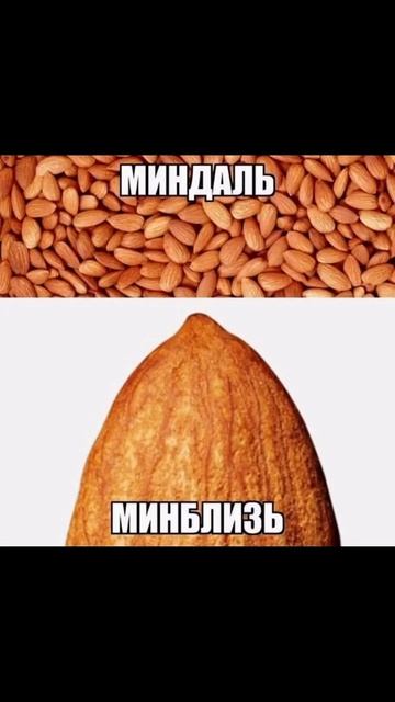 зекально