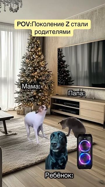 1🤣🤣🤣🤣🤣🤣