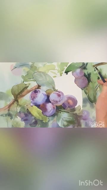 Ветка слив. Акварель. Ласаева Марина #watercolor #акварель