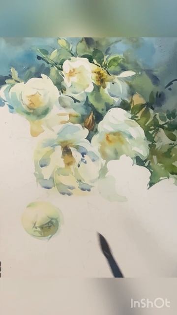 Video-output-D0E37056-93C8-44FF-B3EA-3E6B009F1A78-3