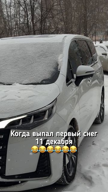 Первый снег