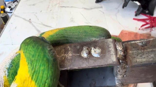 Ремонт глушителя BMW K1200RS, K1200GT, (K41)