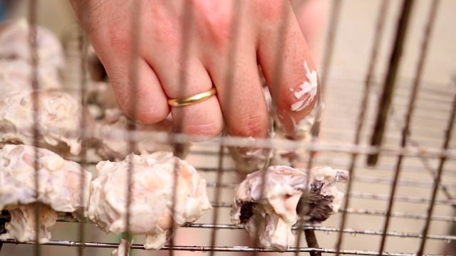 108508997f78077621b3628d6ac7dcc3