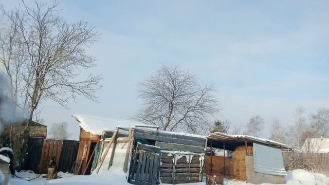 Такие будни в деревне. Многодетная семья.