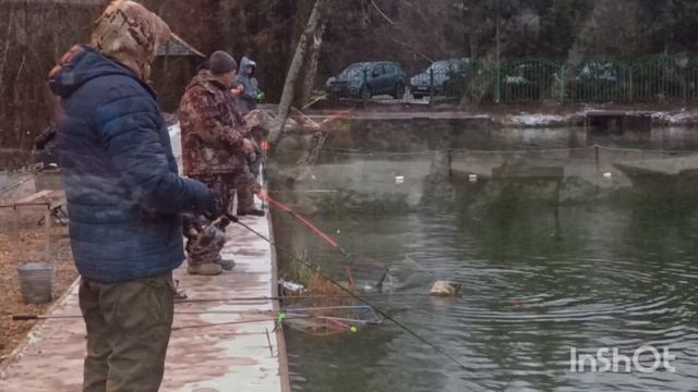 Рыбы много в Липках 🐟🐟🐟