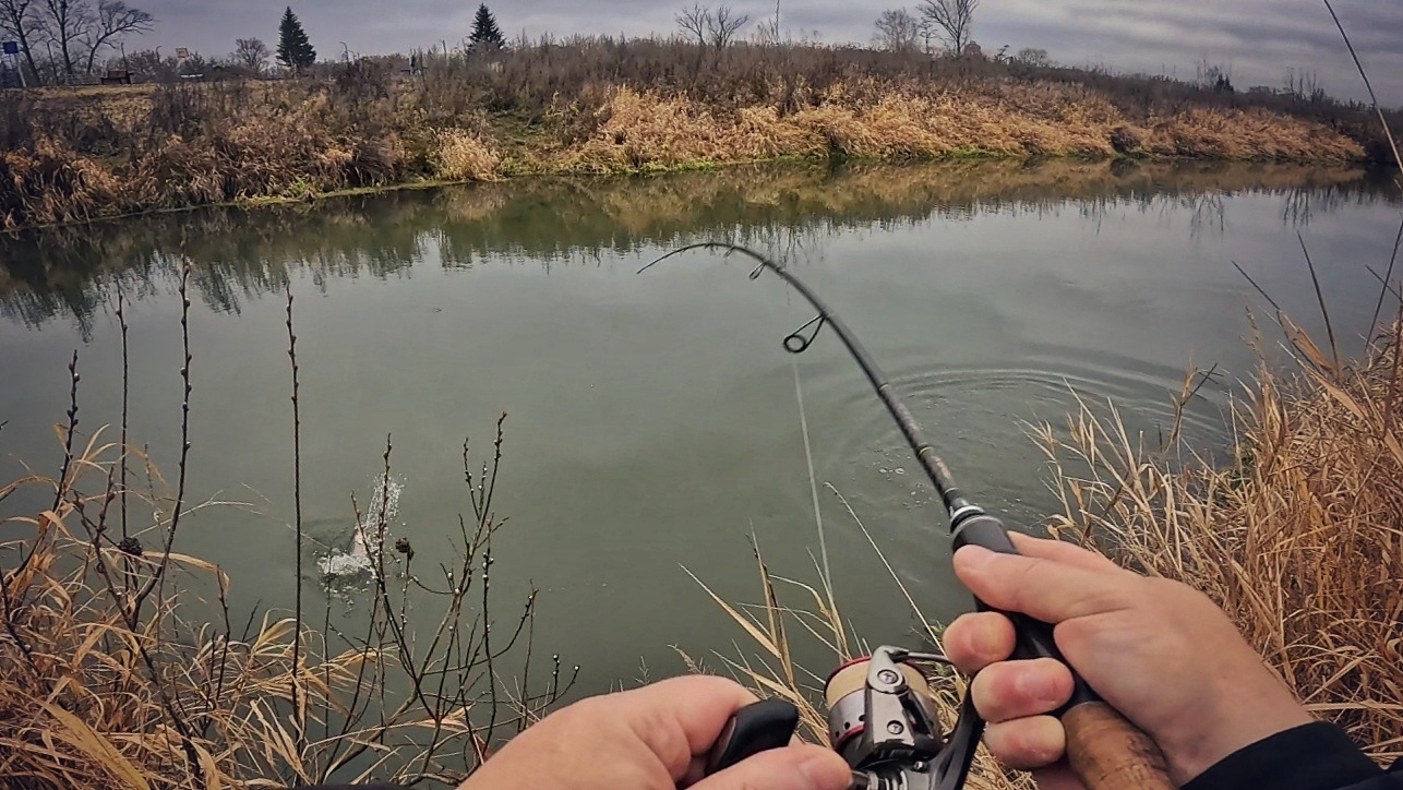 РЫБАЛКА ОДНОЙ ПОКЛЁВКИ !!! ЩУКА МЕНЯ ПЕРЕИГРАЛА !!! ЛОВЛЯ ЩУКИ ОСЕНЬЮ !!!