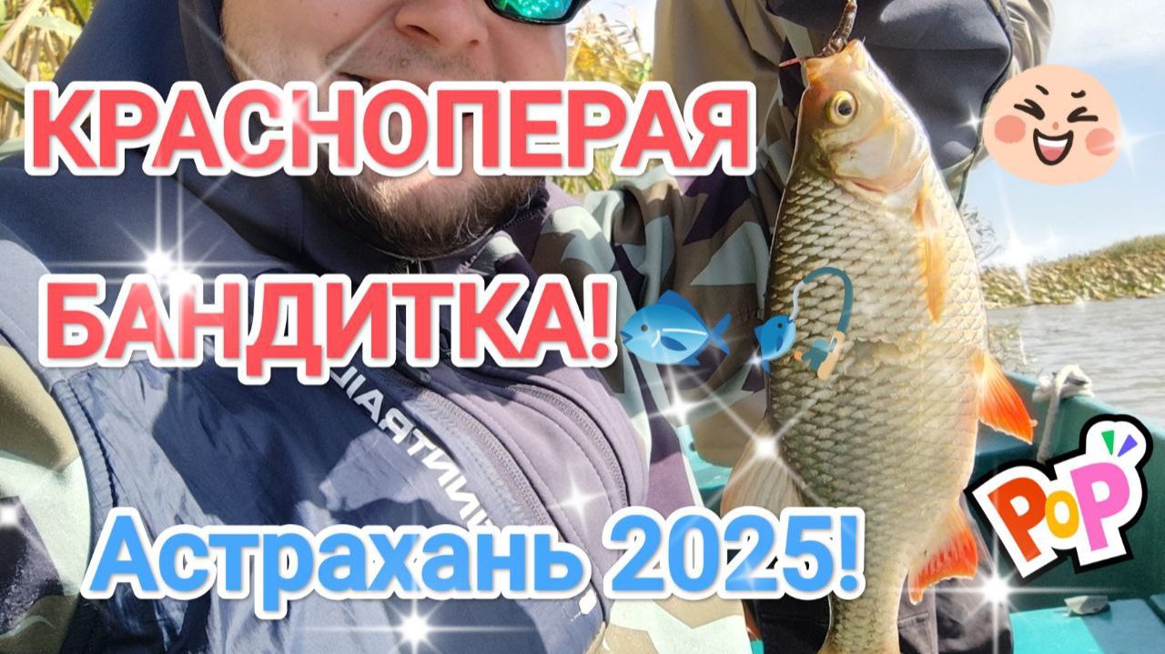 КРАСНОПЕРАЯ БАНДИТКА! АСТРАХАНЬ 2025!#рыбалка #fish #fishing #природа #отдых #рыба #красноперка #шок