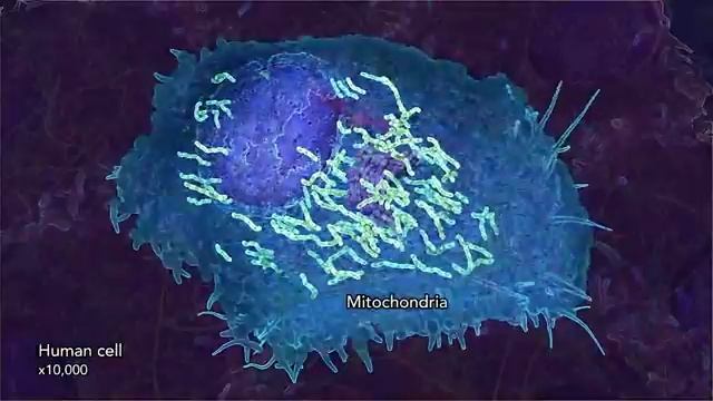 ДНК_создал_Бог_Самые_свежие_научные_данные_о_строении_Как_работает