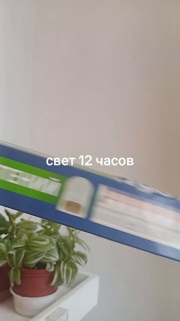 a24aee3df6b64cc3a22a92546791865d