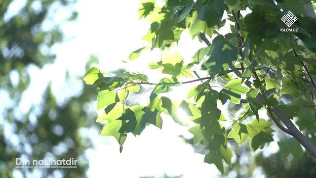 «Din Nasihatdir» Kitobi 17-son