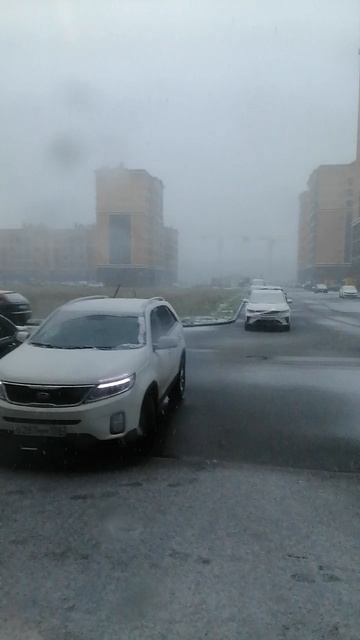 VID_20251213_113741.mp4