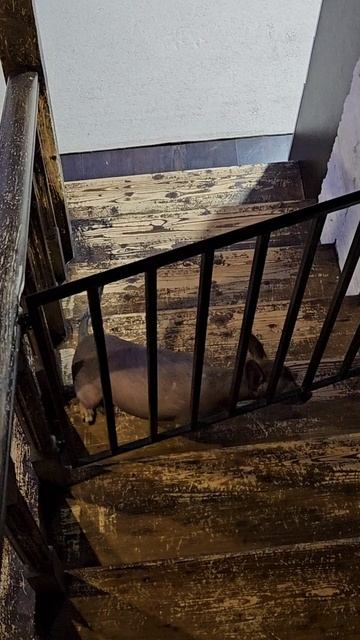 Идеальная команда