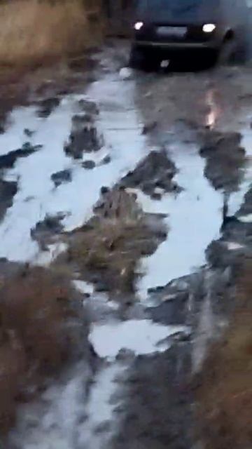 Нива в осенней грязи