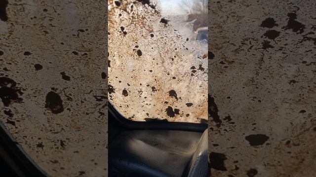 IMG_6828 по воде на Ниве