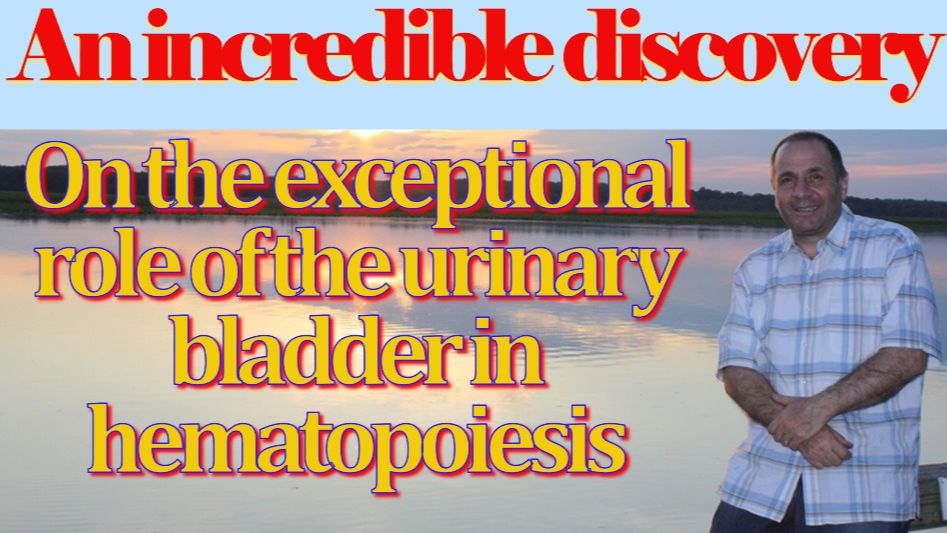 Urgent Video For Urologists Under No Circumstances  Is It Permissible To Leave The Bladder Empty.