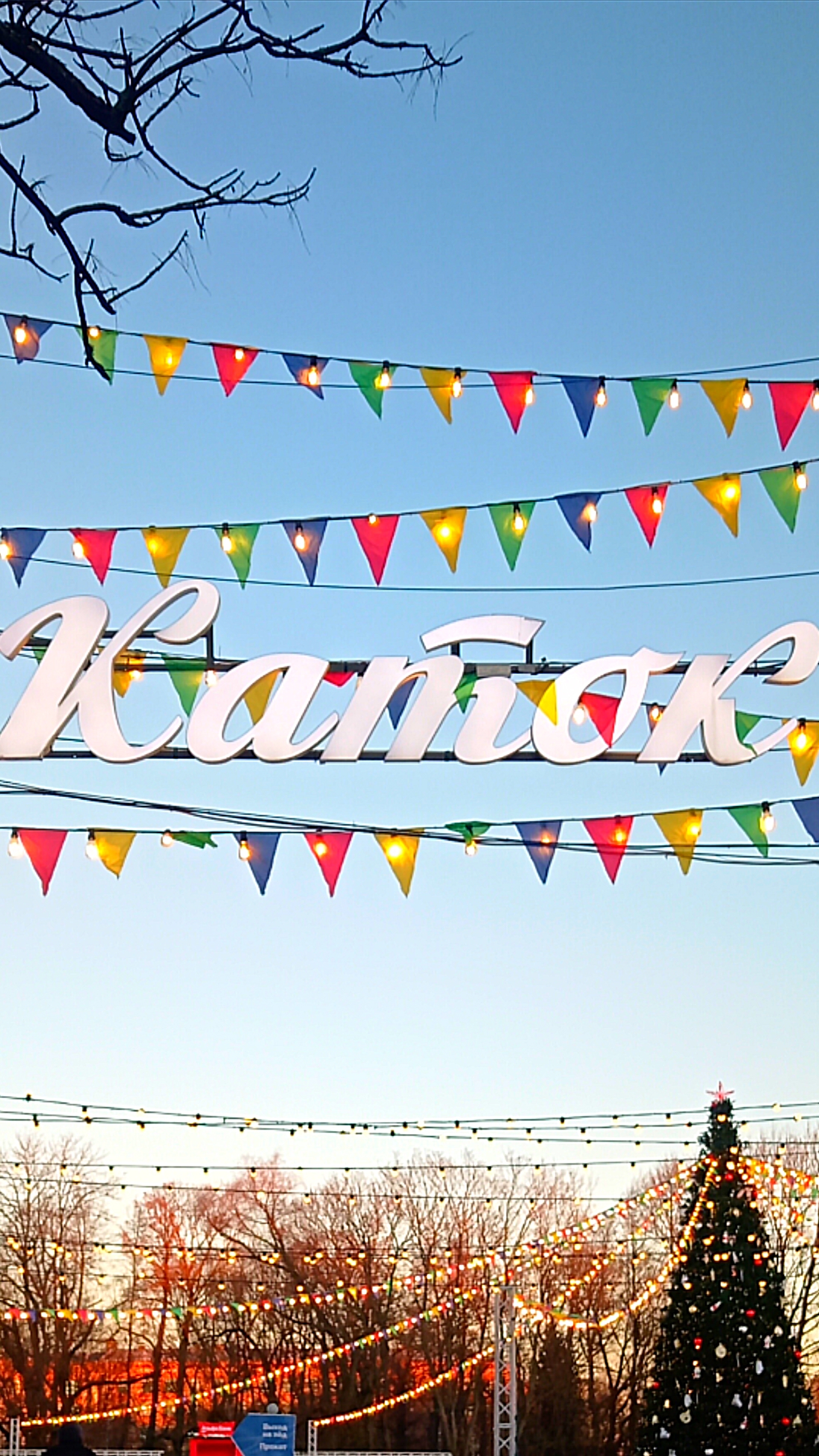 Большой каток в ЦПКиО