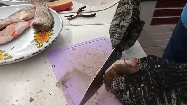 Cbc3c0e91d7fecf6539aa5507fea183c