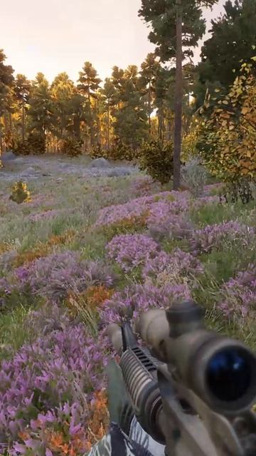 Не знаю что на меня нашло