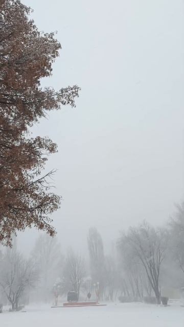 Не знаю, что и у кого на улице, но у меня это🫣