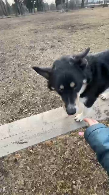 Леша ищет дом 4